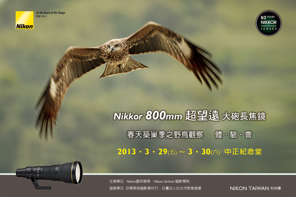 Nikon 800mm 免費體驗會