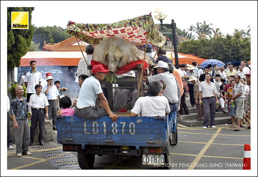 傳統犧牲獻祭原只是盡己所能，以最好的物品表達誠意；豬羊架多採竹、木製做，裝飾亦較為簡單。（Nikon D100，ISO 200，28-70mm F2.8D鏡頭，焦距28mm，f8加一級光圈先決，快門1/125秒）