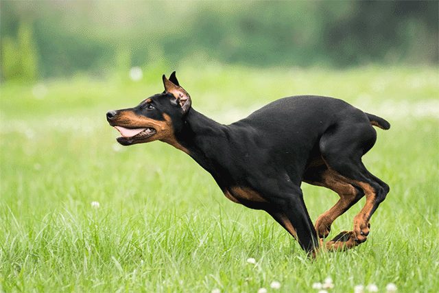 【评测】颠覆dx印象 nikon d500 强悍登场