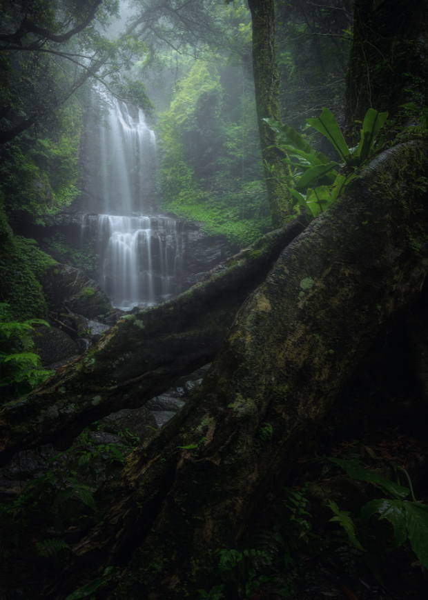 精緻風景影像編修