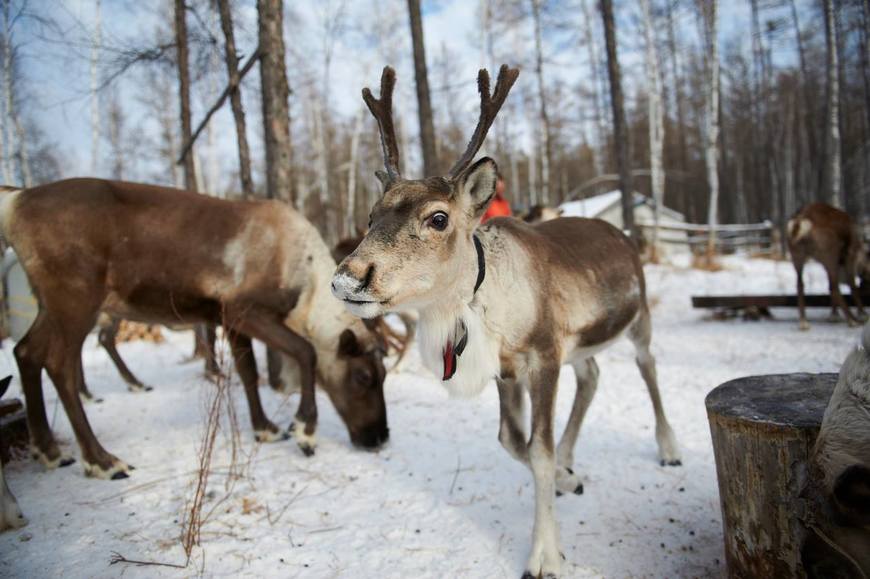 享受吧！旅遊攝影也能輕鬆漫步