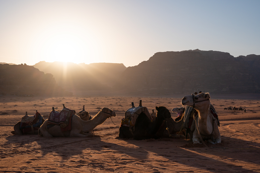 [ 新竹 ] Nikon Z series 免費-Z 系列快速上手免費基礎講座