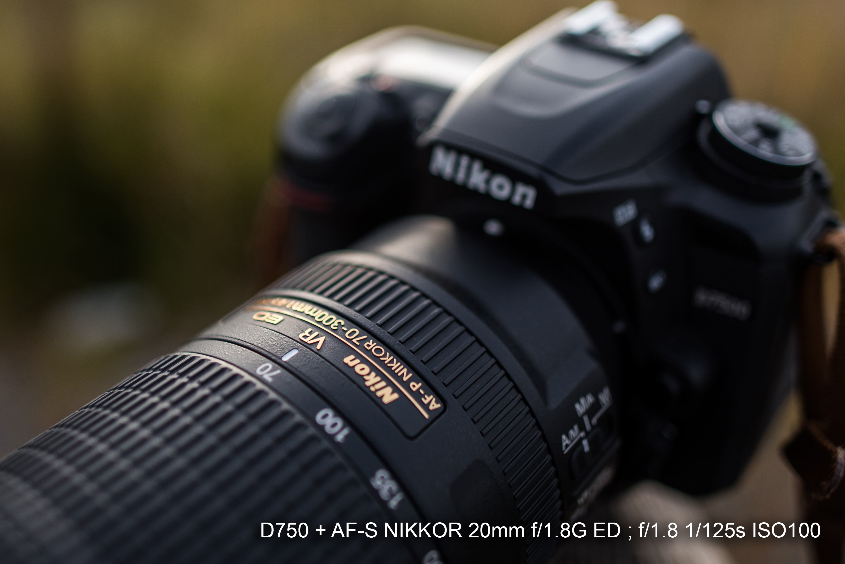 36830円 【通販激安】 Nikon AF-P NIKKOR 70-300 1:4.5-5.6E