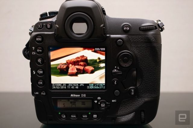 极速旗舰 nikon d5 实拍体验 ;nikon nikond5